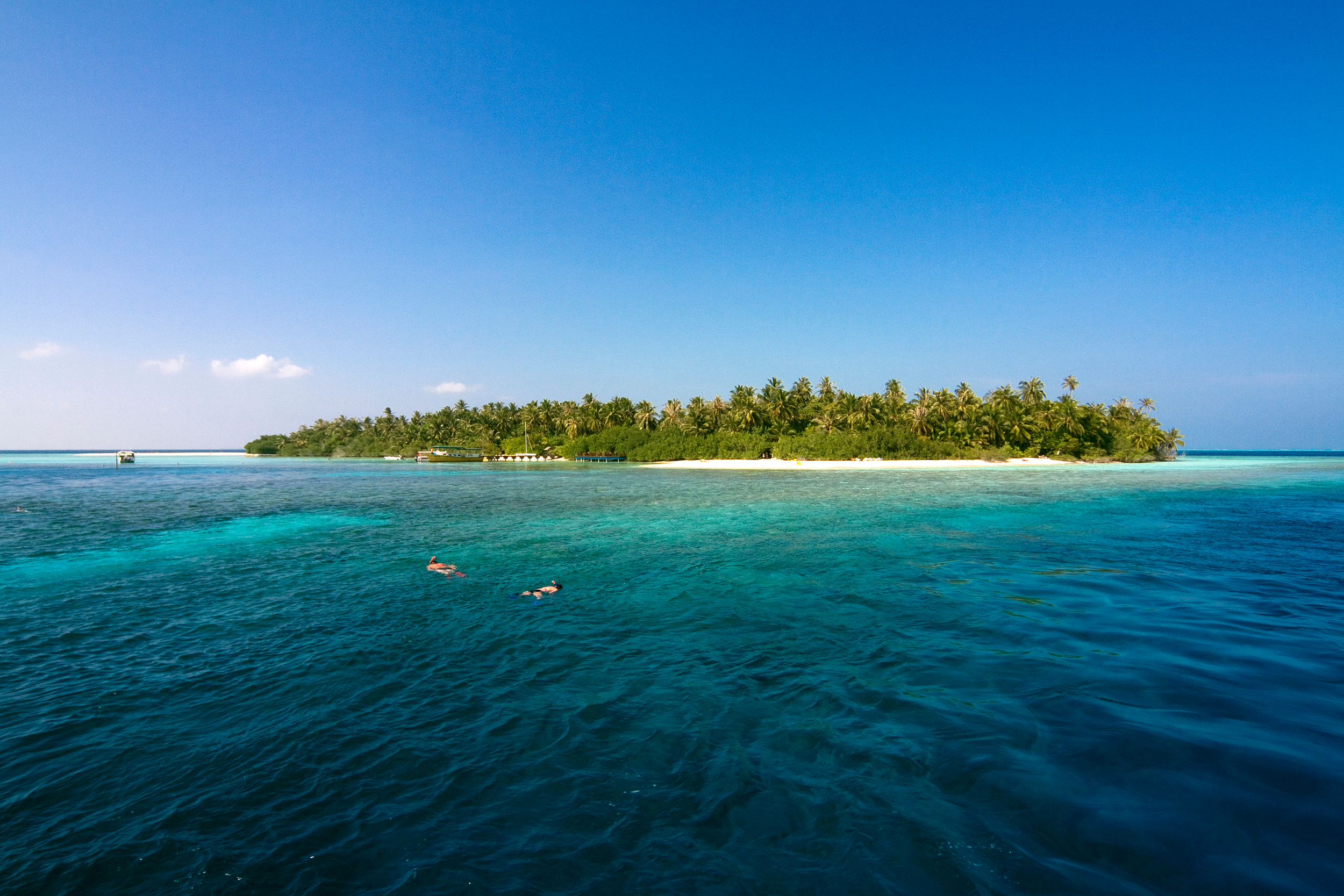 Two snorkelers on the reef off Embudu Village, a palm-covered island with a white sand beach in the Maldives.
